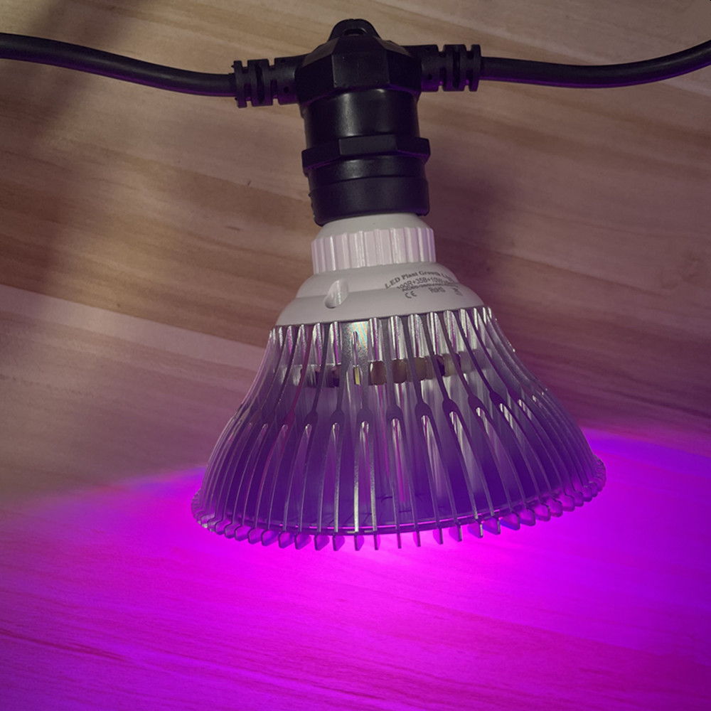 سلسلة إضاءة LED بطول 10 أمتار، - مراجعة Outdoor Lighting Cable وسعره